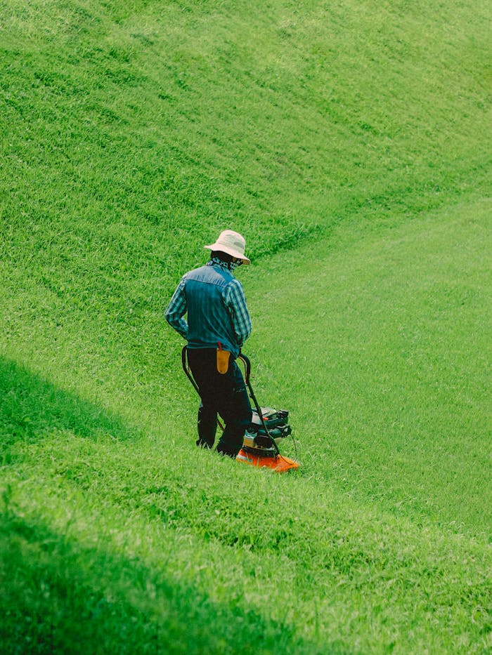 portfolio-04 Back view of a man mowing grass on a sunny day with a vibrant green lawn.